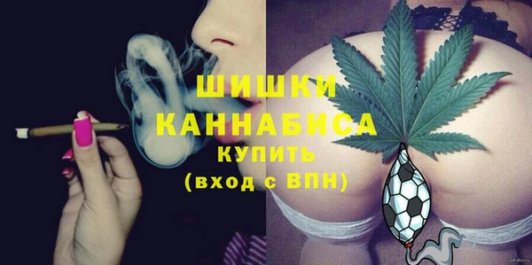 молекула духа Белокуриха